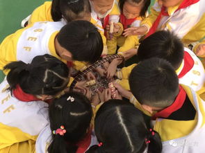 玉米娃娃闹金秋——记二年级主题情境大单元游艺运动会